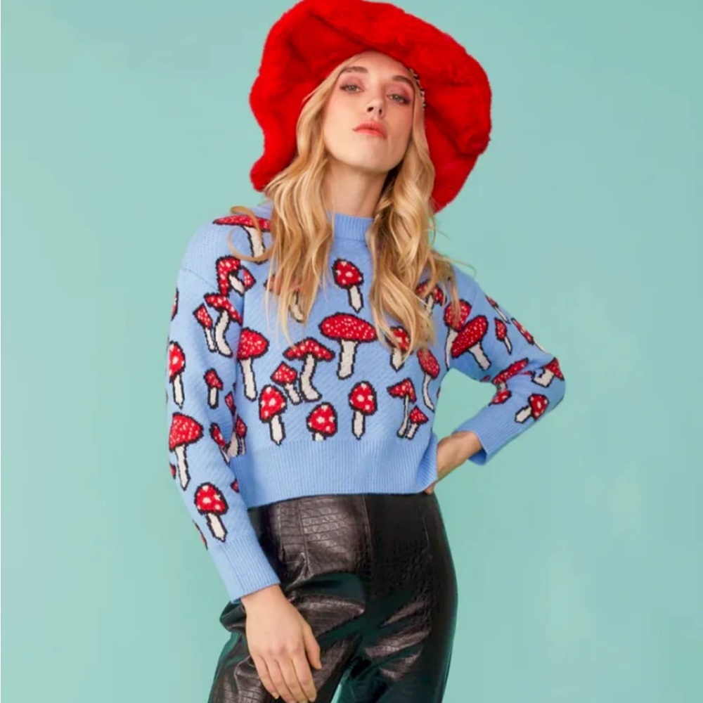 Zara Mushroom Sweater Blue Novelty Knit Fairycore Cottagecore Crewneck Small